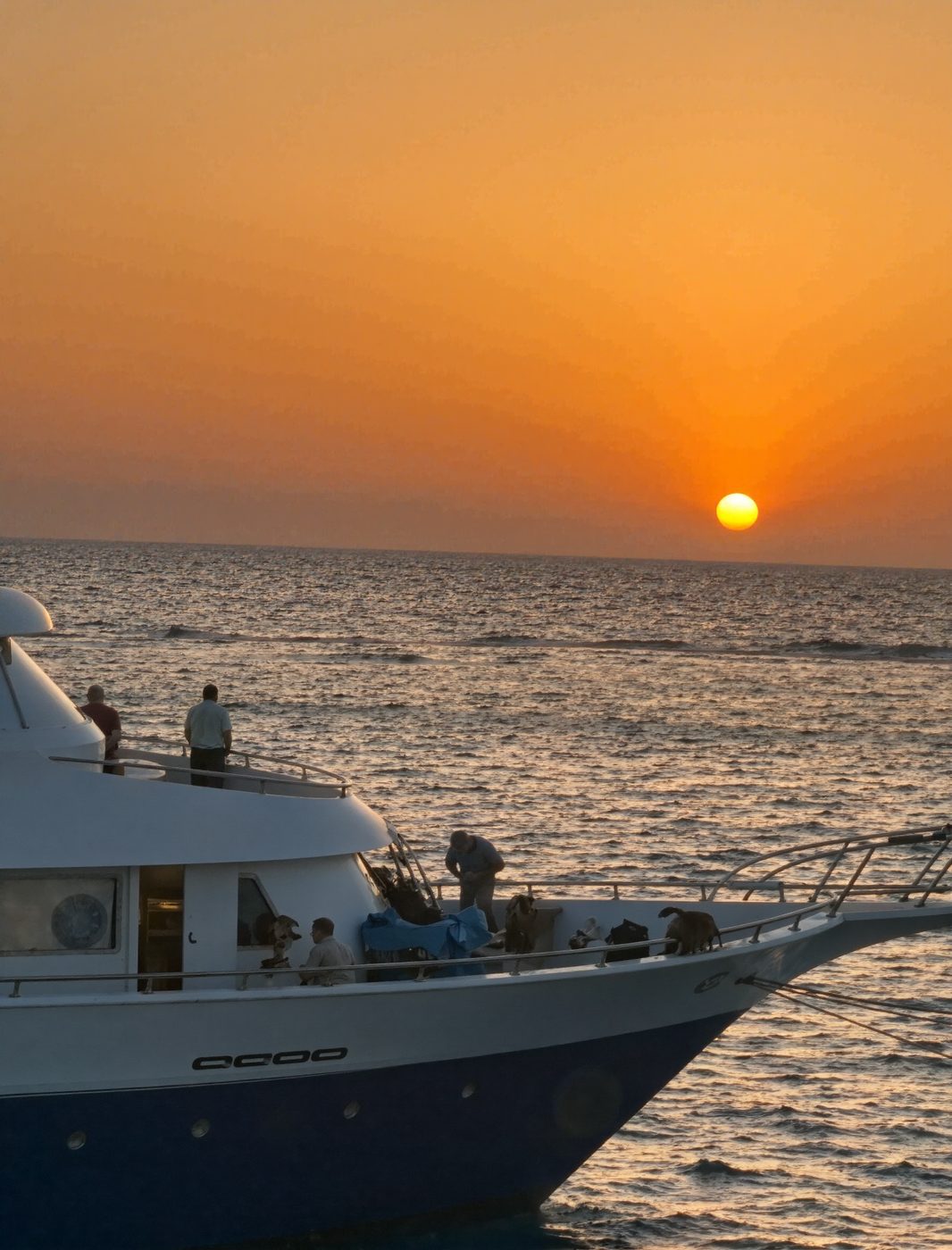 Guests on the bow watching the sun set over the Red Sea